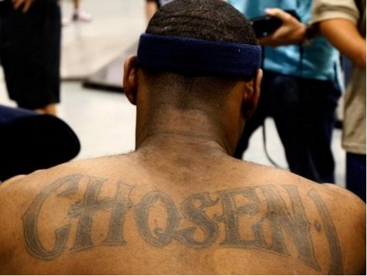 终结选择 终结选择